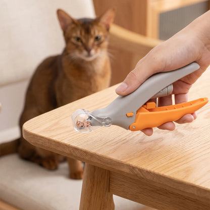 coupe-griffes pour chats rognures retenues capot transparent