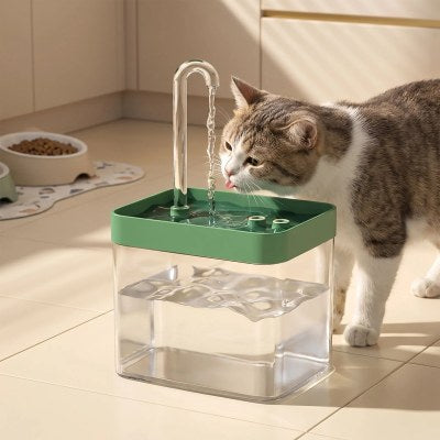 fontaine a eau chat vert foncé chat lape le jet