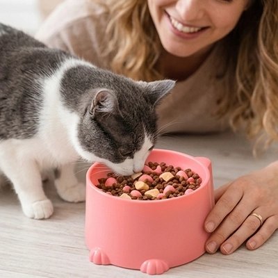 Gamelle anti glouton chat rose chat mange avec femme souriante