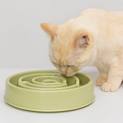 Gamelle anti glouton chat verte chat mange