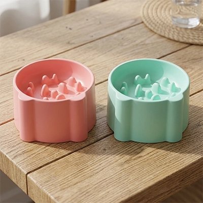 Gamelle anti glouton chat verte et rose sur table bois