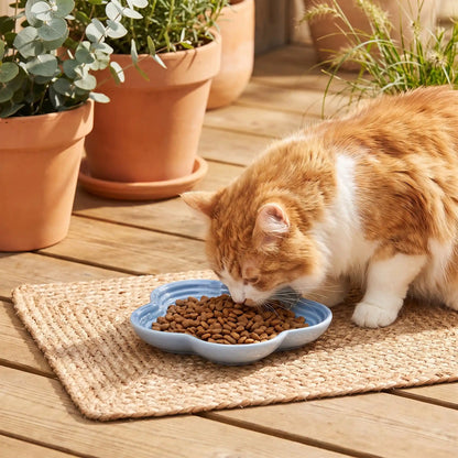 gamelle ceramique pour chat bleue chat mangeant sur tapis