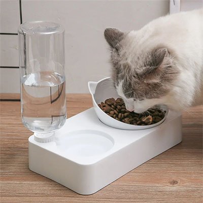 Gamelle chat avec distributeur eau chat mange croquettes
