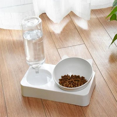 Gamelle chat avec distributeur eau près de fenêtre 