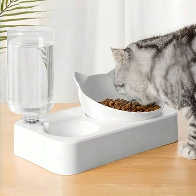 Gamelle chat blanche chat gris mangeant croquettes