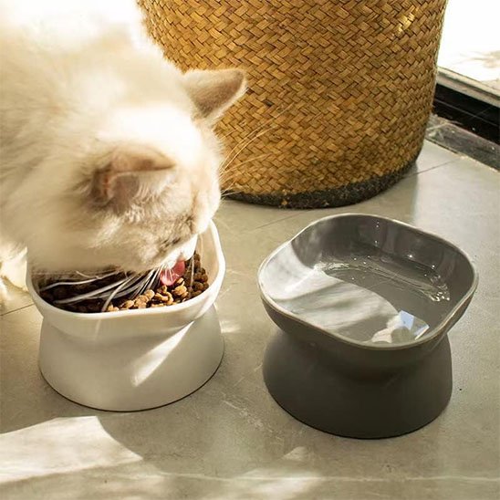 Gamelle chat blanche et grise chat en repas
