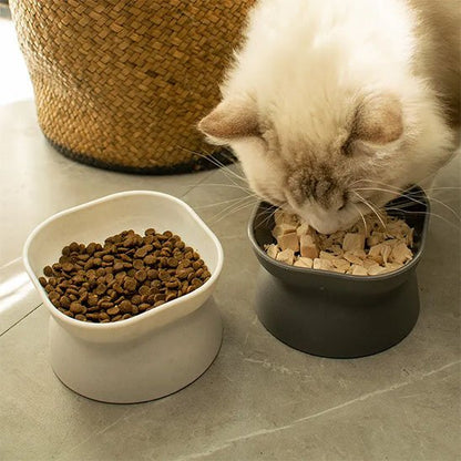 Gamelle chat blanche et grise chat mange des croquettes