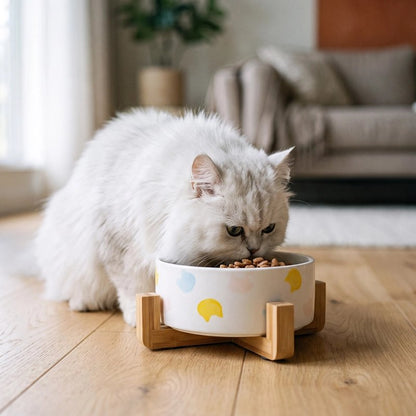 Gamelle chat céramique avec croquettes chat mange