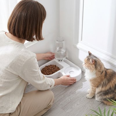 Gamelle chat d'angle avec femme la présentant à son chat