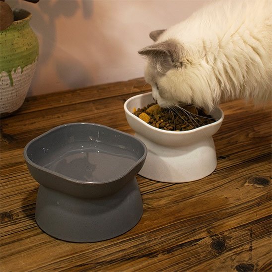 Gamelle chat duo blanche et grise chat mange 
