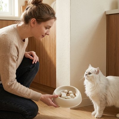 Gamelle chat glouton beige femme servant croquettes au chat