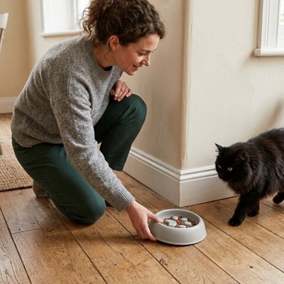 Gamelle chat glouton grise servie par femme au chat
