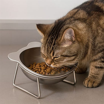 Gamelle chat surélevée avec chat mangeant des croquettes