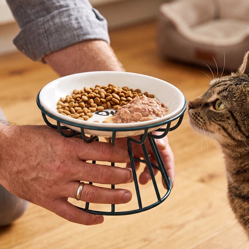 Gamelle chat surélevée céramique contenant croquettes pâtée