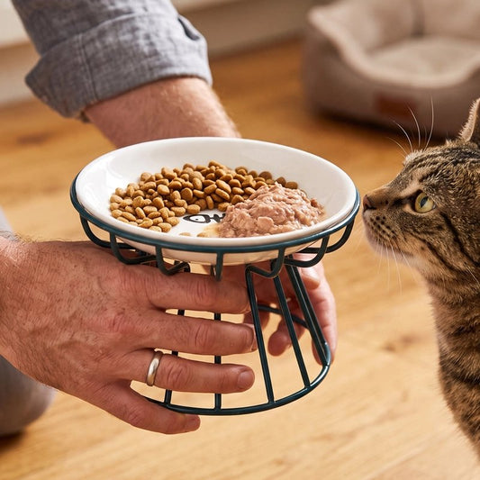 Gamelle chat surélevée céramique contenant croquettes pâtée