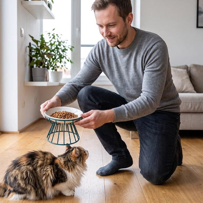 Gamelle chat surélevée céramique homme sert croquettes chat