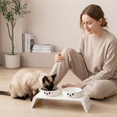 Gamelle chat surélevée double chat siamois mange croquettes