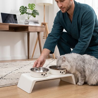 Gamelle chat surélevée double homme installe repas au chat