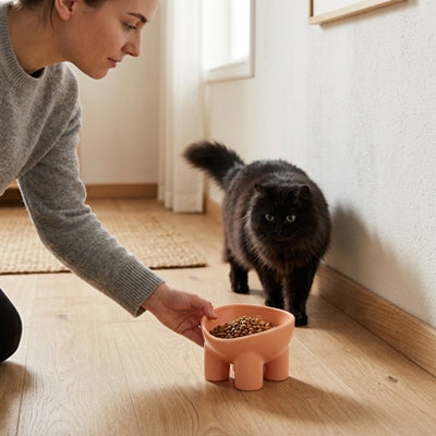 gamelle chat surélevée rose chat femme servant chat noir
