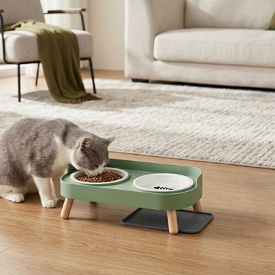 Gamelle chat surélevée verte chat mange croquettes dans salon