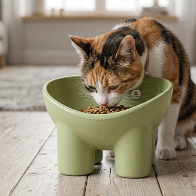 gamelle chat surélevée verte chat mange 