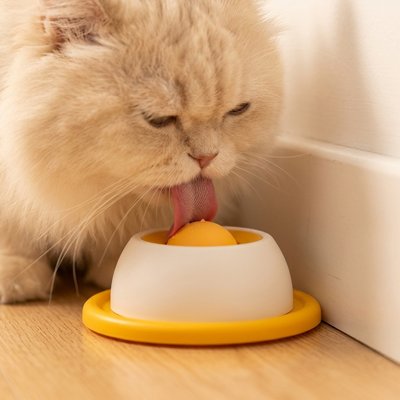 Gamelle pour chat anti glouton orange chat léchant repas