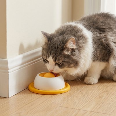 Gamelle pour chat anti glouton orange chat lèche pâtée