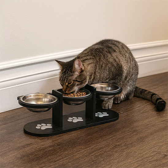 gamelle surélevée chat avec chat tigre en train de manger