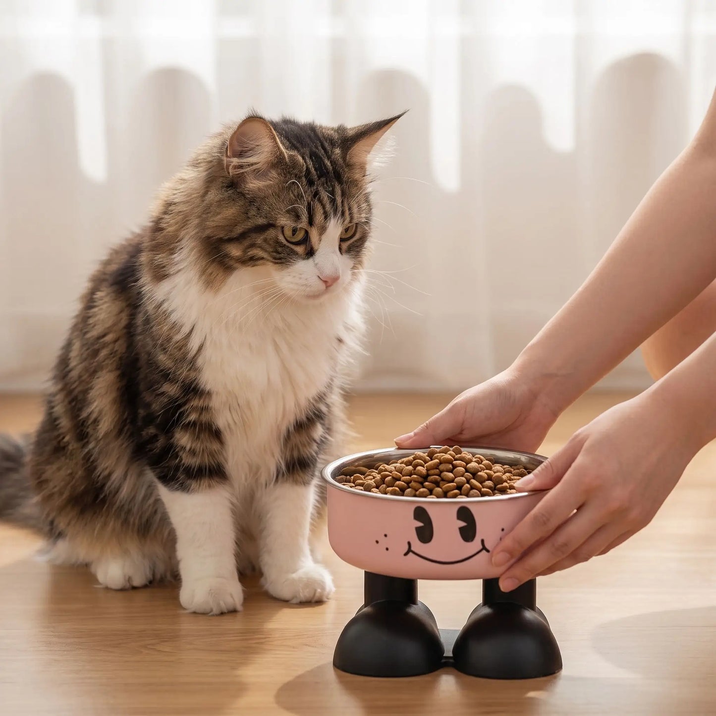 Gamelle surélevée chat bol inox amovible devant chat assis
