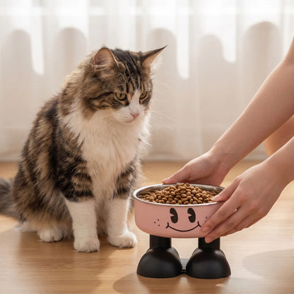Gamelle surélevée chat bol inox amovible devant chat assis