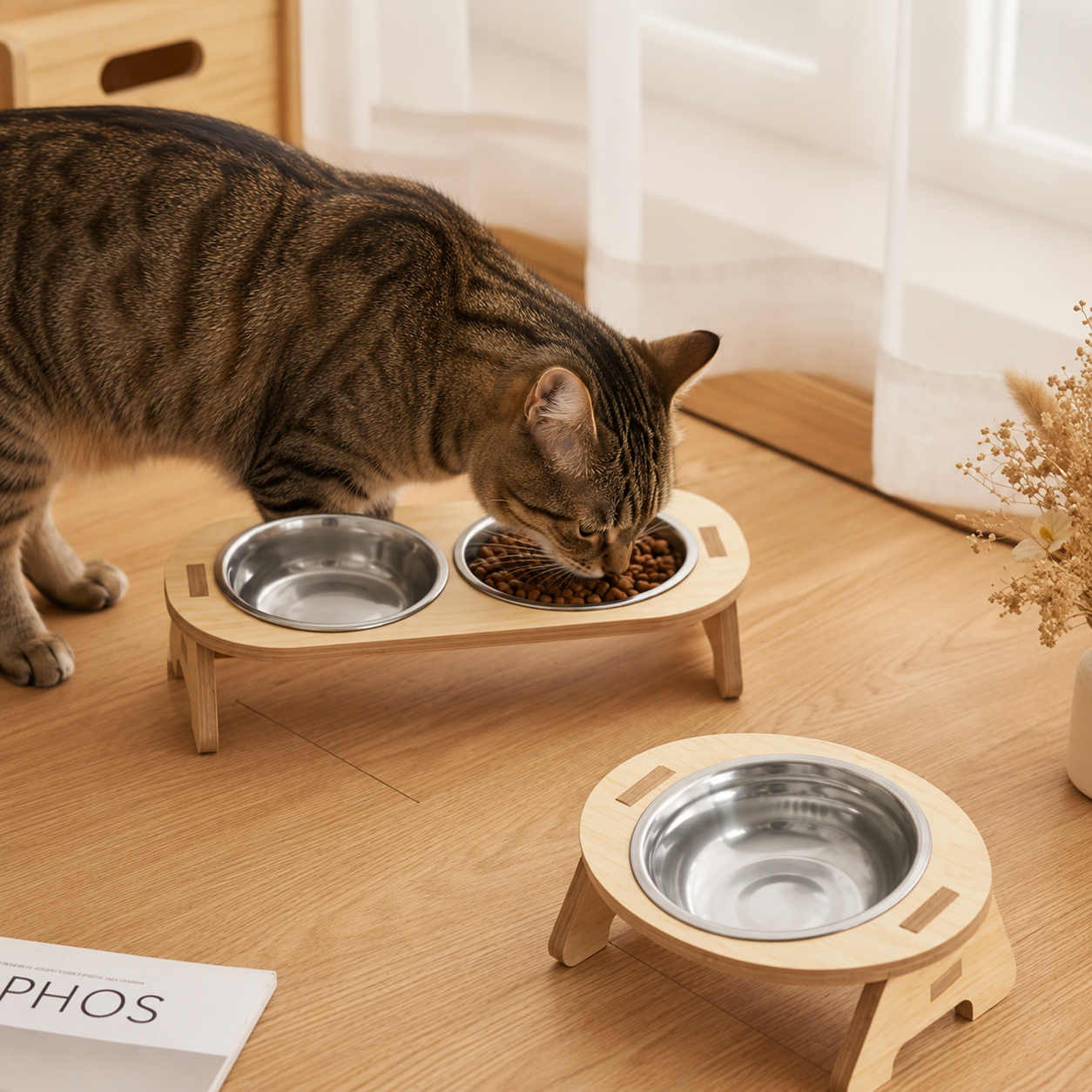 gamelle surélevée chat double et simple chat mange croquettes