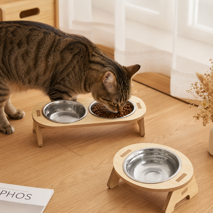 gamelle surélevée chat double et simple chat mange croquettes