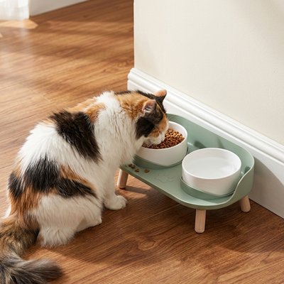 Gamelle surélevée chat verte bols blancs chat mange
