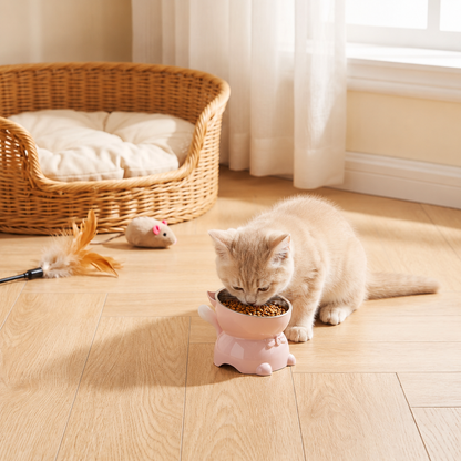gamelles chaton rose chaton mange croquettes