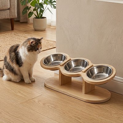 Gamelles pour chats trois bols avec chat les regardant