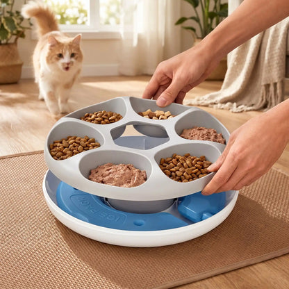 propriétaire servant chat a manger dans gamelle automatique chat