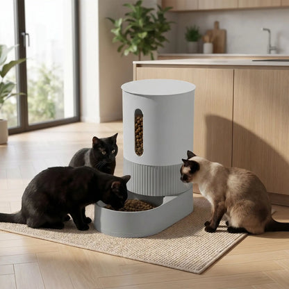 trois chats autour du distributeur de croquettes pour chat gris